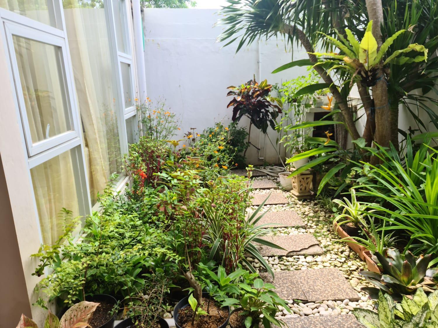 Mimosa 4 Bedroom Di *